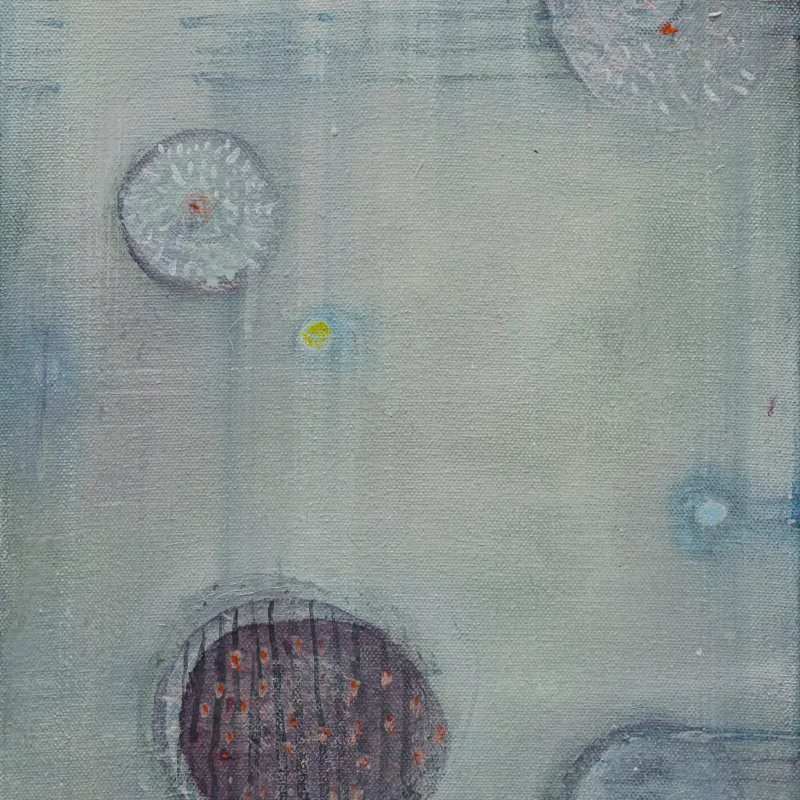 Study i & Study ii, Rebekah Tuluie